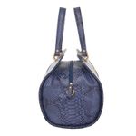 75049_NAJA_ROYAL_LATERAL