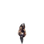 Rato-Onca-79304.16-4