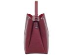 74047-lezard-bordo3